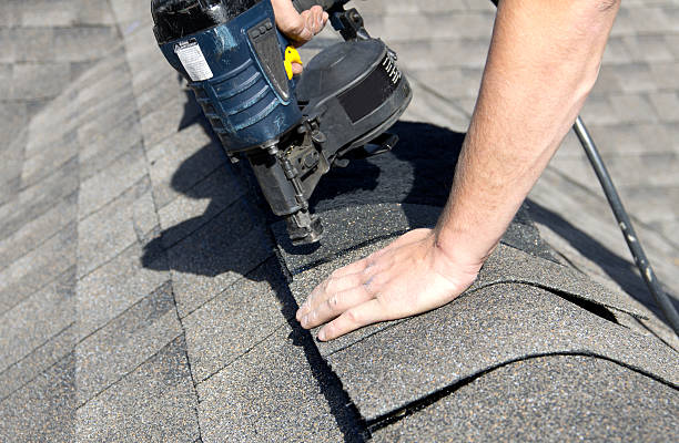 Best Roof Moss and Algae Removal  in Shelby, OH
